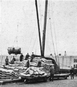 Loading Lighters, Bush Docks, New York