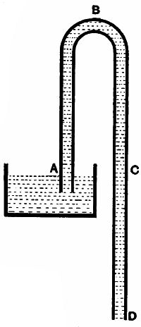 Fig. 173.