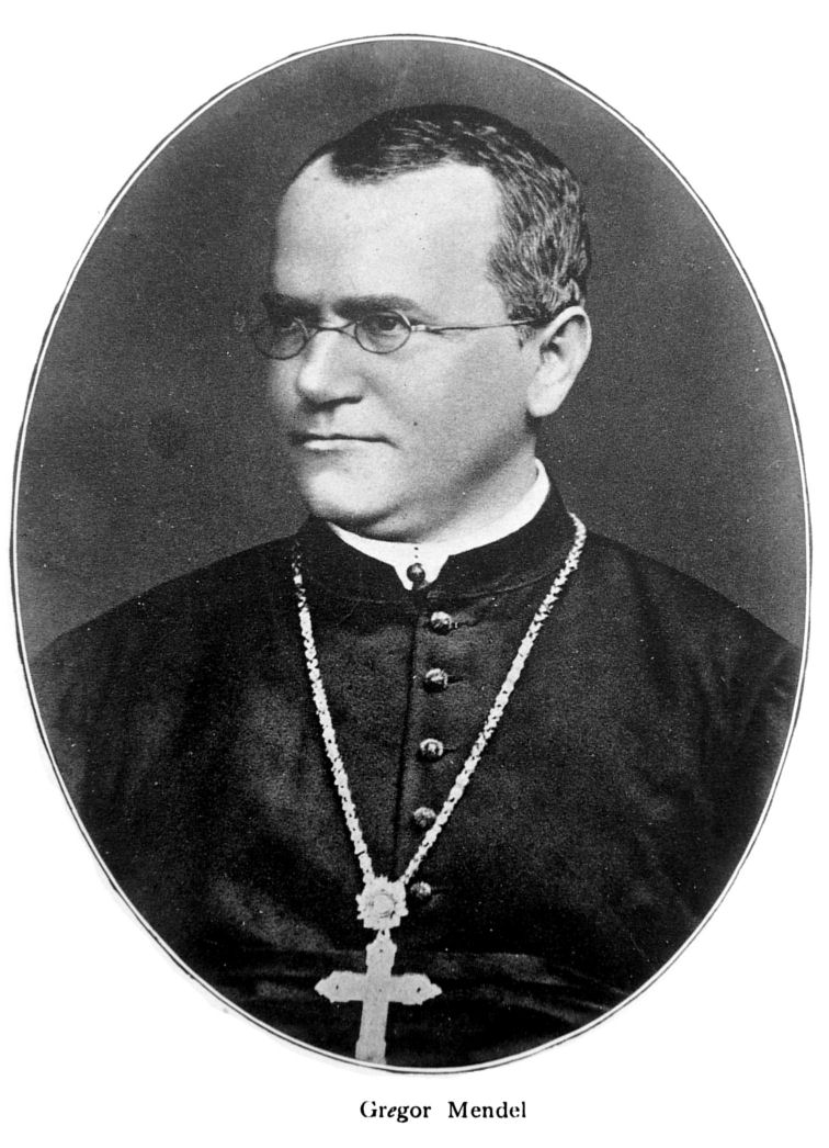 Gregor Mendel.