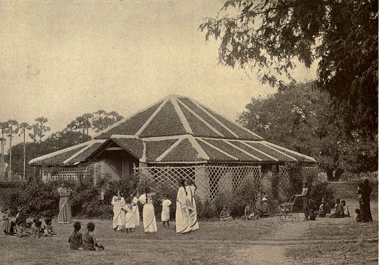 THE COTTAGE NURSERY.