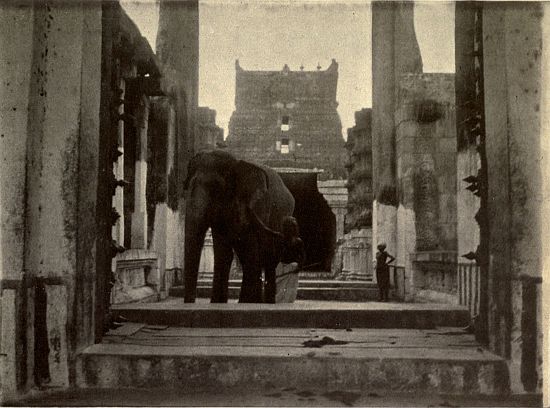 AT THE DOOR OF THE TEMPLE.