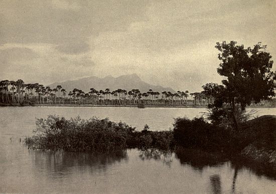 NORTH LAKE AND HILLS.