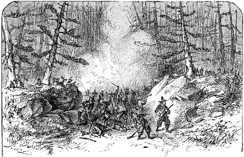 THE INDIAN AMBUSH.