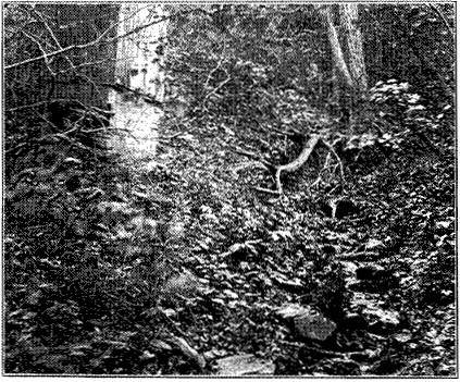 Fig. 36.—Stream draining a privy.