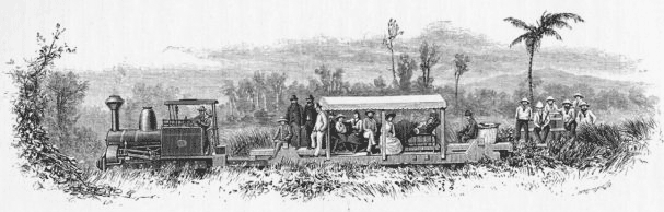 The Train in the Bush