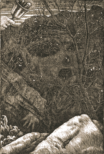 a face in the underbrush