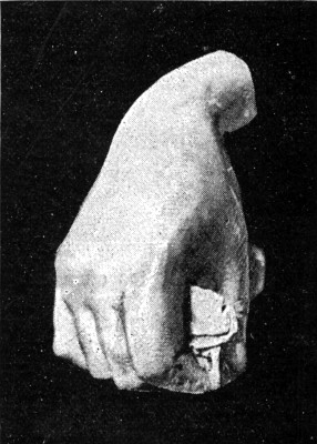 THE DUKE OF WELLINGTON'S HAND.