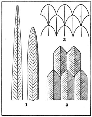 Three different patterns based on feathers