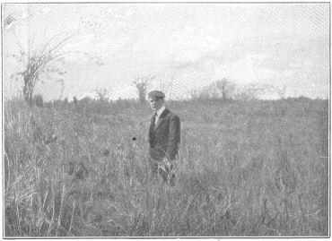 The same spot as it appears to-day.  The figure in the picture is standing in what remains of the trench