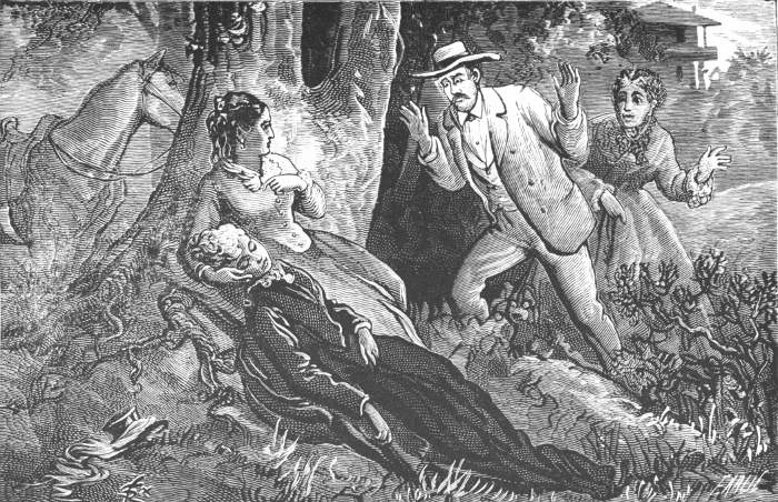 She soon discovered Mrs. Potter lying by the road-side, groaning and in great pain. Page 64.