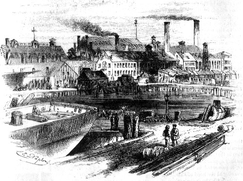 GENERAL VIEW OF THE NOVELTY IRON WORKS, NEW YORK, (As seen from the East River.)