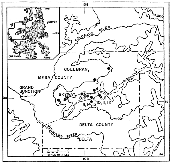 Fig. 1. Map of the Grand Mesa (for purposes of this paper the area above 7500 feet on each side of the northern boundary of Delta County). The inset of the western three-fourths of Colorado shows the Grand Mesa in relation to the larger areas of mountains in the state (areas above 9000 feet are stippled). The following collecting localities are indicated by numbered, black dots:   (1) 2 mi. N, 9 mi. E Collbran, 7000 ft., Mesa County. (2) Land's End Road to Grand Mesa, 6800 to 8050 ft., Mesa County. (3) 3 mi. E, 4 mi. S Collbran, 6800 ft., Mesa County. (4) 3 mi. E, 9 mi. S Collbran, 10,200 ft., Mesa County. (5) 5-1/2 mi. E, 11-1/2 mi. S Collbran, in Delta County. (6) 5-1/2 mi. E, 12 mi. S Collbran, 9600 to 10,400 ft., in Delta County. (7) 28 mi. E Grand Junction (Sec. 29, T. 11S, R. 95W), Mesa County. (8) 6 mi. E Skyway, 10,000 to 10,500 ft., in Delta County. (9) 7 mi. E Skyway, in Delta County. (10) 8 mi. E, 1/2 mi. S Skyway, 9500 to 10,200 ft., in Delta County. (11) 8 mi. E, 3/4 mi. S Skyway, 10,200 ft., in Delta County. (12) 8 mi. E, 1 mi. S Skyway, 10,000 to 10,200 ft., in Delta County. (13) 8 mi. E, 1-1/2 mi. S Skyway, 8500 to 9600 ft., in Delta County. (14) 8 mi. E, 2 mi. S Skyway, 9000 ft., in Delta County. (15) 8 mi. E, 2-1/2 mi. S Skyway, 9600 ft., in Delta County. (16) 1 mi. S, 4 mi. W Skyway, 10,200 ft., Mesa County.  