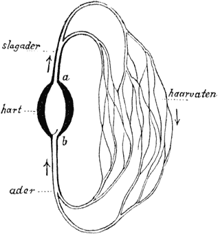 Fig. 20.