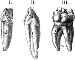 Fig. 35.