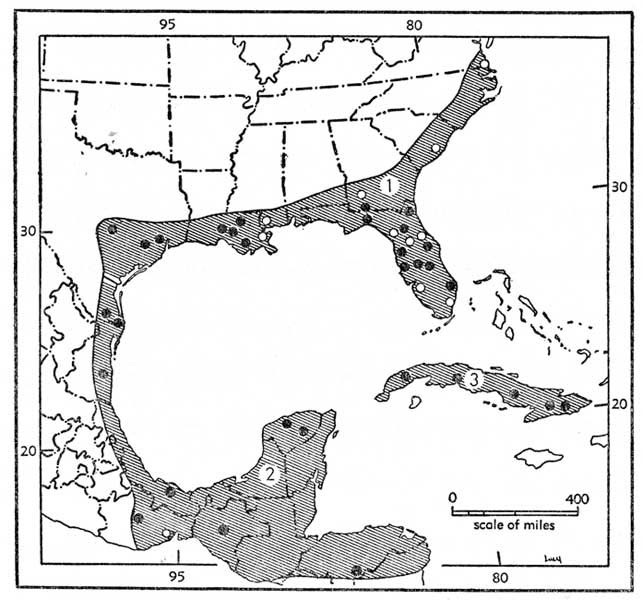 Geographic distribution of the three subspecies of <i>Lasiurus intermedius