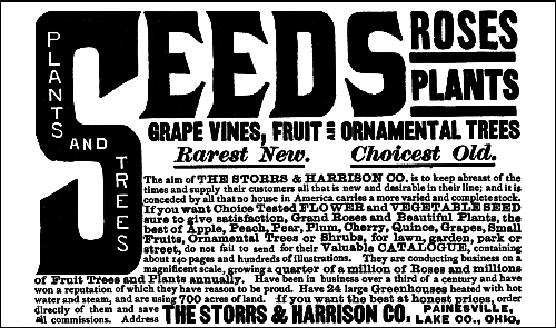 Advertisement - SEEDS ROSES PLANTS