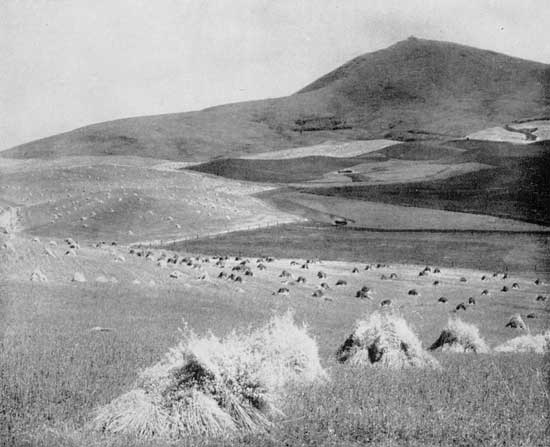 "The Palouse dweller pictures wheat fields." The grain country of eastern Washington