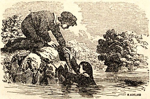 Ned rescuing Jack from drowning.