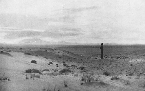 In this lonely Arizona desert the wind drifts the sand into dunes, just as it does on the toe of Cape Cod