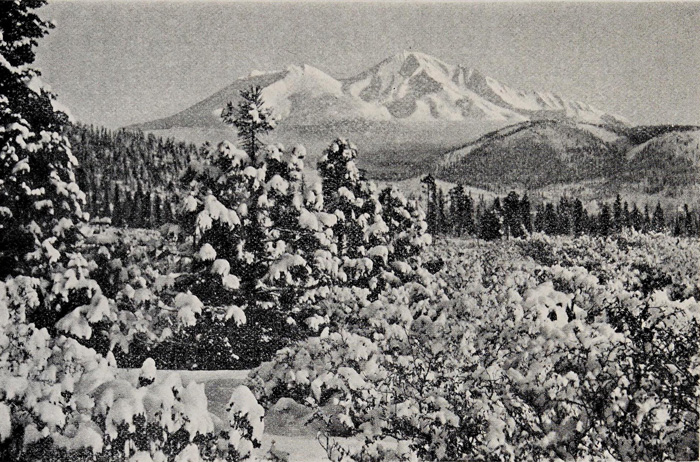 MOUNT SHASTA