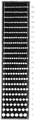 Perforation sizes are determined by the number of holes contained in the space between the two vertical white lines.