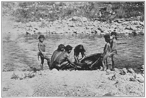 Emptying the fish trap