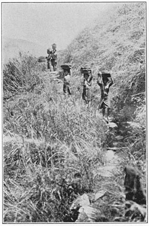 Transporting clay from the pit to the pueblo