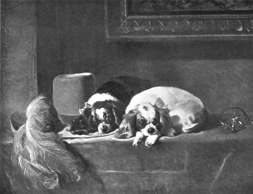 KING CHARLES SPANIELS National Gallery, London