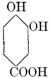 Pyrocatechuic acid