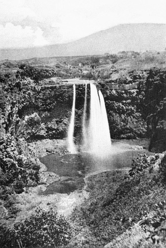 A WATERFALL IN THE TROPICS