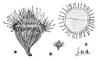 Fig 102.