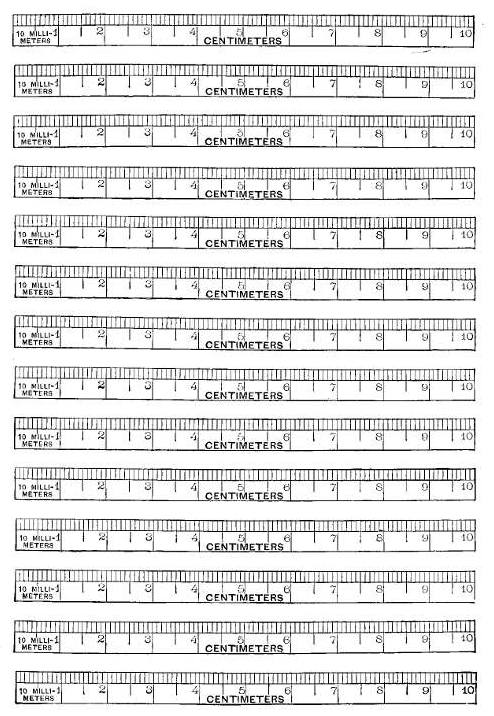 metric scale