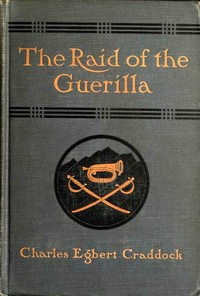 The raid of the guerilla, and other stories