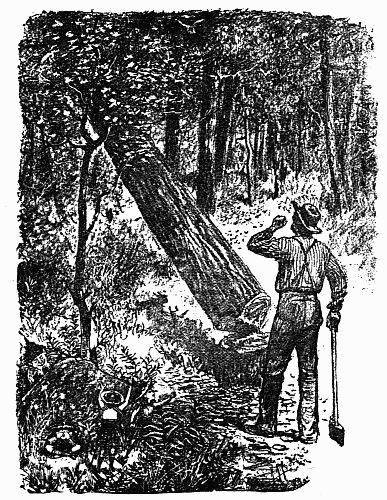 Fig. 1.—The Forest Monarch's Fall. The Brownie's Grief and Anger Thereat.