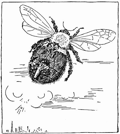 Fig. 130.—Brownie Flying Artillery and Portable David.