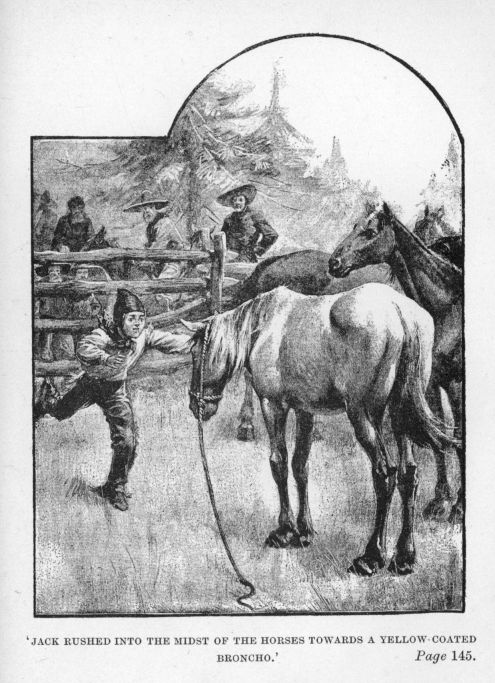 'JACK RUSHED INTO THE MIDST OF THE HORSES TOWARDS A YELLOW-COATED BRONCHO.'