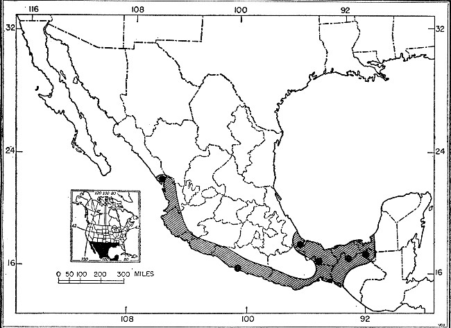 Fig. 1. Map showing localities from which Myotis fortidens has been recorded.