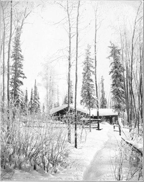 Photo by J. Doody, Dawson  A Home in the Yukon