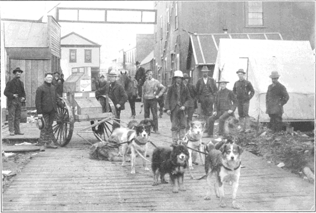 Copyright by E. A. Hegg, Juneau Courtesy of Webster & Stevens, Seattle  Dog-team Express, Nome