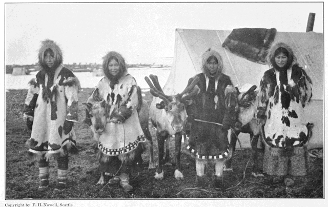 Copyright by F. H. Nowell, Seattle  Four Beauties of Cape Prince of Wales with Sled Reindeer of the American Missionary Herd