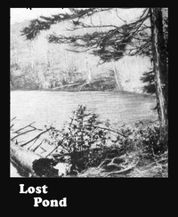 Lost Pond书籍封面