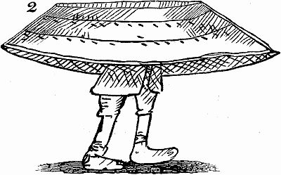 [Linnaeus' companion carrying the boat.]