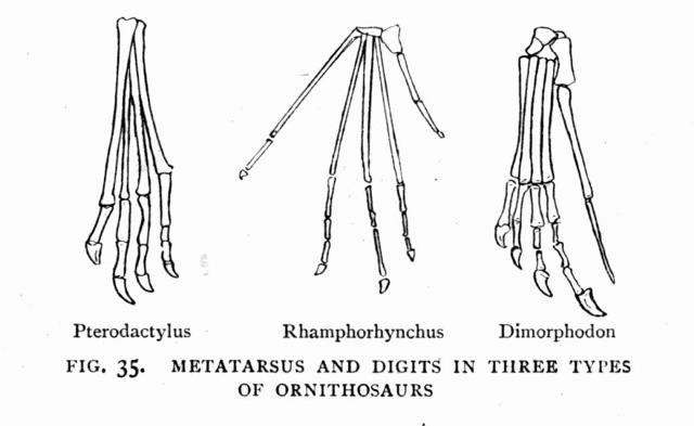 FIG. 35.