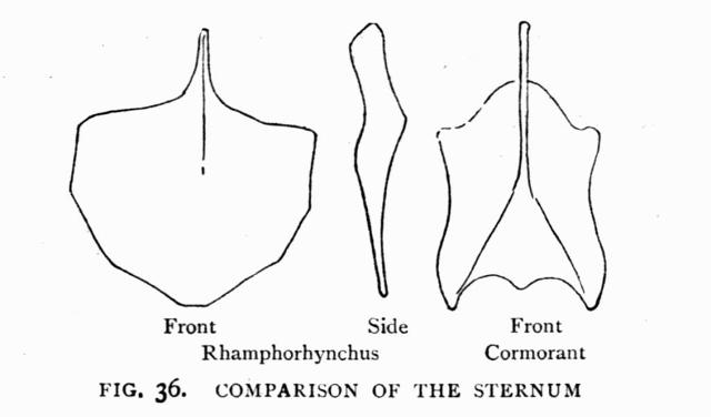 FIG. 36.