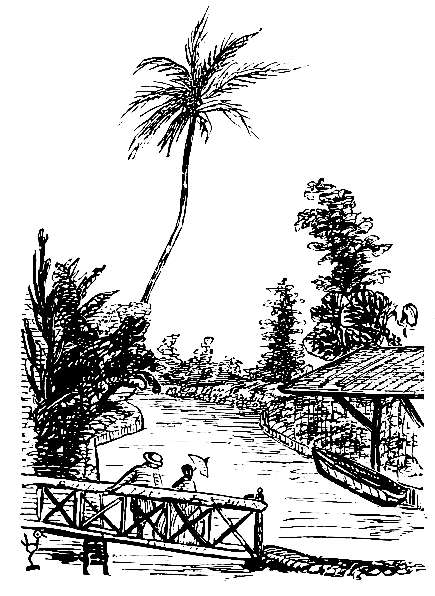 View of the Canal and Cocoa Tree; looking East from the Grotto.