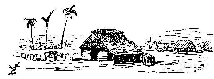 A Planter's Hut, and three scraggly Palm Trees in the dim distance.