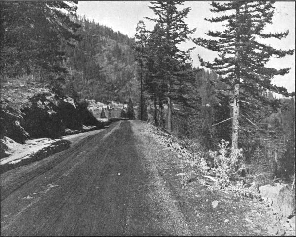 ON THE PACIFIC HIGHWAY IN THE SISKIYOU MOUNTAINS, JACKSON COUNTY. MACADAMIZED IN 1917