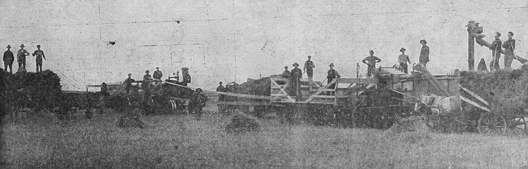 An ordinary threshing scene in Manitoba, where fields of wheat, oats and barley pay the farmer well.