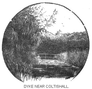 Dyke Near Coltishall