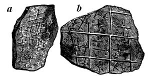 Protospongia fenestrata.